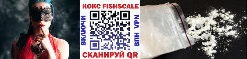 дарнет шоп  Курильск  Кокаин Fish Scale 