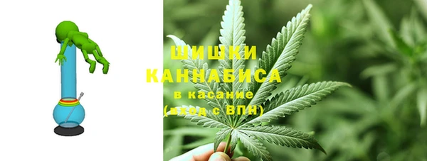 крисы Осинники