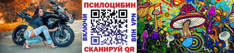 hydra tor  Курильск  Галлюциногенные грибы прущие грибы 